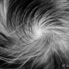 _MG_6528-bw