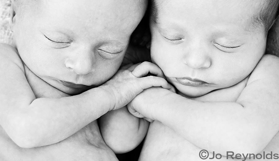 Infant Twin Portraits