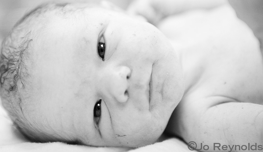 In the humidicrib - Adelaide birth photography