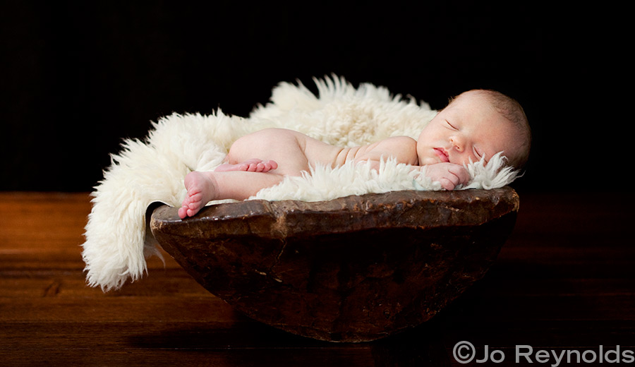 Adelaide baby Portraits