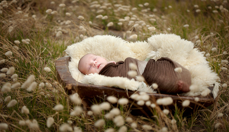 Silver - 2011 SAPPA, Accolade of Excellence - 2011 WPPI